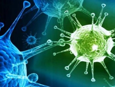 «Klosneuviruses»: Επιστήμονες στις ΗΠΑ και την Αυστρία ανακάλυψαν μια νέα ομάδα γιγάντιων ιών